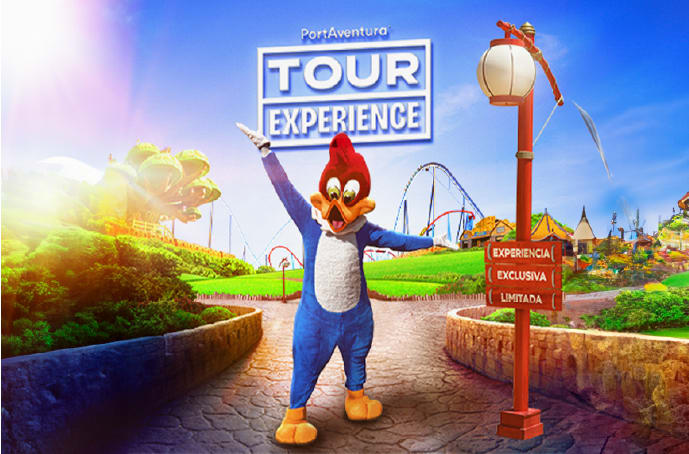 Tour Experience